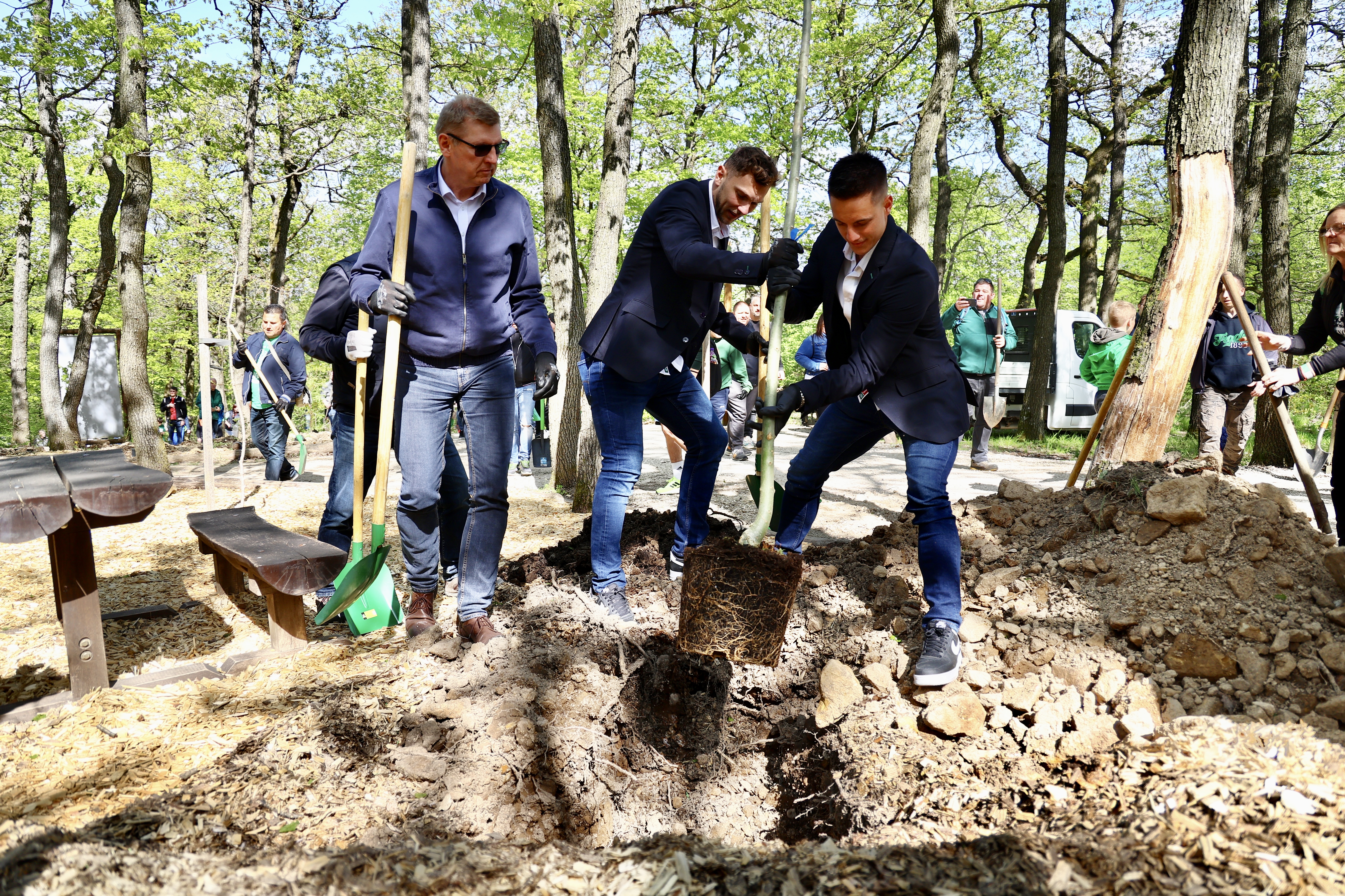 Szirmák Botond és labdarúgóink a faültetés közben